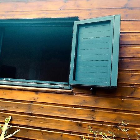 Tiny House Les Cactus - Bungalow St Gilles Les Hauts Saint-Paul 외부 사진